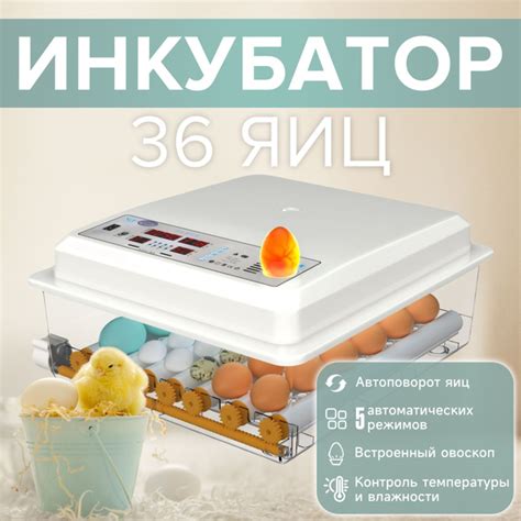 Инкубатор для яиц купить на OZON по низкой цене (2009934115)