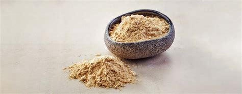 Image result for MACA