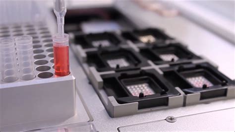 Microarray Machine 的图像结果