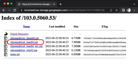 Image result for Install Selenium Python