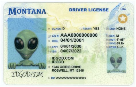 Montana Fake ID - Real Idgod Official Fake ID Maker Website