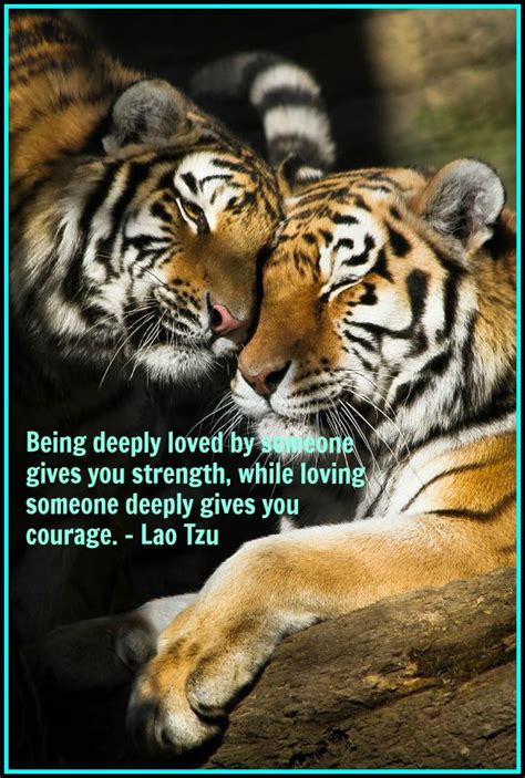 Image result for Django Python Love