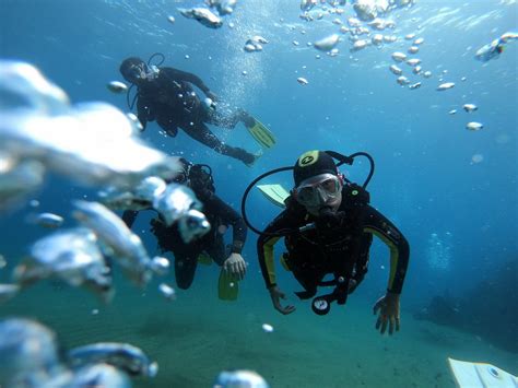 MOJO DIVE (2026) All You Need to Know BEFORE You Go (with Photos ...