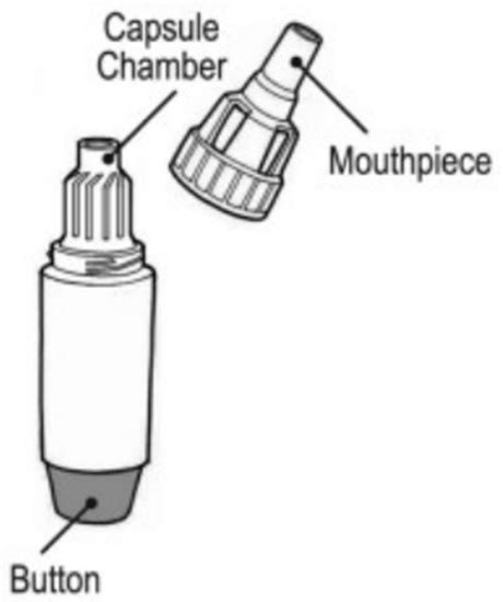 Advancements in the Design and Development of Dry Powder Inhalers and ...