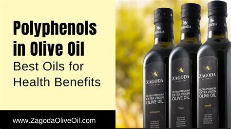 Polyphenols in Olive Oil: Best Oils for Health Benefits – Zagoda Olive Oil