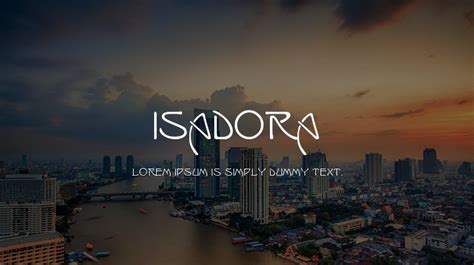 Image result for Isadora Software Sample