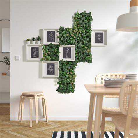 FEJKA artificial plant, wall mounted/in/outdoor Wax plant, 25x25 cm (9 ...
