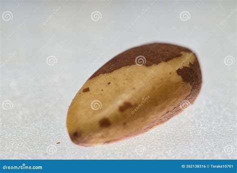 Brazil Nuts Heart Healthy Snake Close Up Shot Stock Photo - Image of health, healthy: 262138316