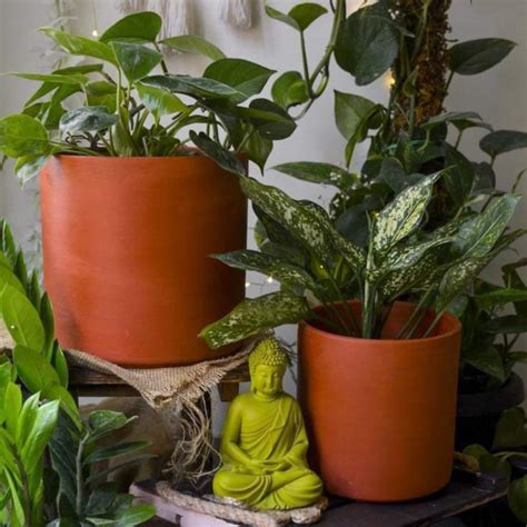 Patina Passion Terracotta Planters (Set of 2) – Garden Up