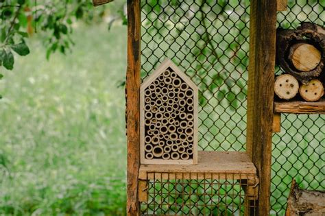 A wooden house for ants and insects in the garden | Premium Photo