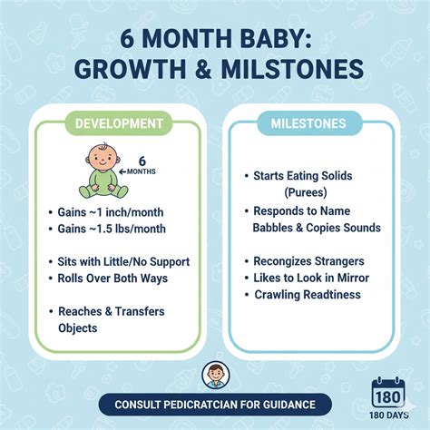 Month 6 Pregnancy: Baby’s Corn Size, Symptoms & Care Guide