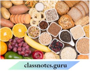 Image result for Class 6 Science Chapter 1 Components of Food