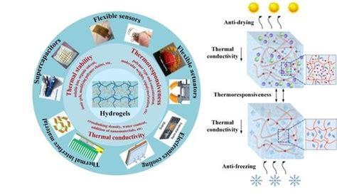 A Review on Thermal Properties of Hydrogels for Electronic Devices ...