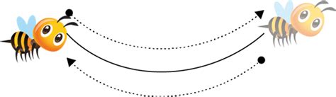 Types of motion — lesson. Science State Board, Class 6.
