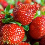Strawberry Fragaria Ananassa Seeds – Super Sweet Everbearing Variety ...