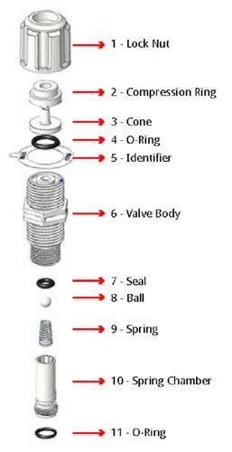 Image result for HTML Code with JavaScript Example