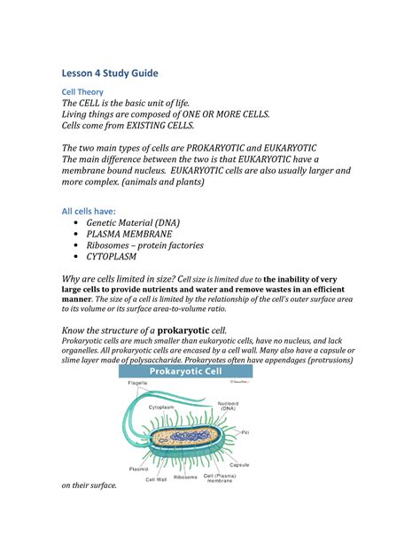 Lesson 4 Study Guide - Lesson 4 Study Guide Cell Theory The CELL is the ...