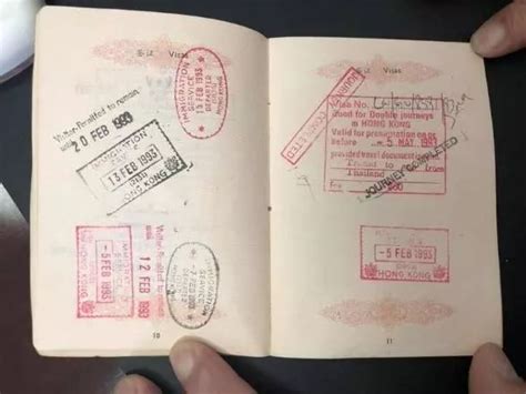 护照/旅行证简介