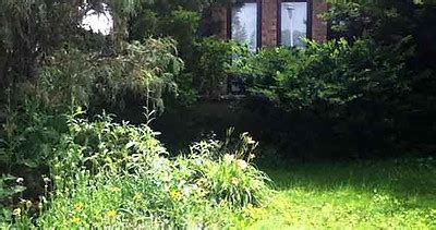 Greenscreen Architecture 的图像结果