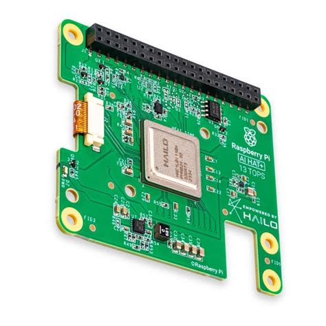 Setting Up the Raspberry Pi AI Hat Step-by-Step Tutorial – Robocraze