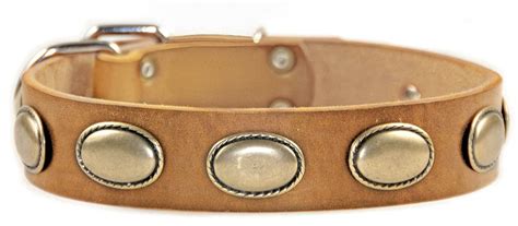 Buy Dean and Tyler Retro RULZ, Leather Dog Collar with Brass Oval ...