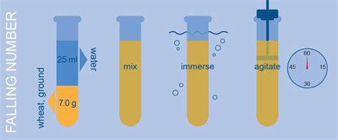 Image result for Falling Number Testing