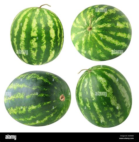 Watermelon Fruit Family at David Velasquez blog
