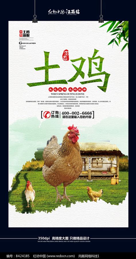 大气土鸡宣传海报设计图片_海报_编号8424185_红动中国