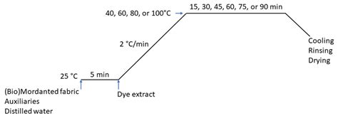 Sustainable Dyeing Process for Nylon 6 Fabrics by Rhubarb Flower Using ...