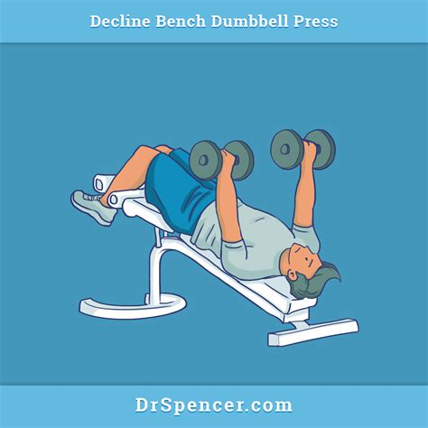 Decline Dumbbell Bench Press – Dr. Spencer Nadolsky