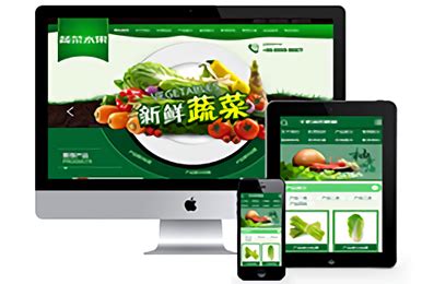 【网站建设】绿色农业水果白菜蔬菜类网站-SEO顾问服务-【徐州SEO-博益网络】