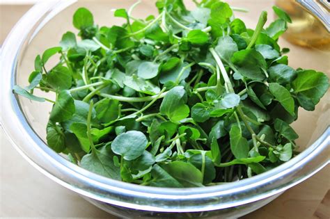 Razones por las que deberías consumir berros — FMDOS