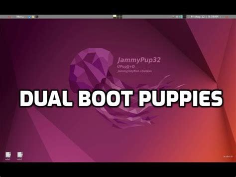 Image result for Embracing Linux Bionic Puppy 64 Bootable USB