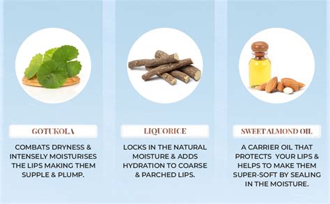 Just Herbs Ayurvedic Creamy Matte Long Lasting Liquid Lipstick ...