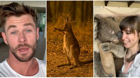 Who's donating how much: Australian bushfire