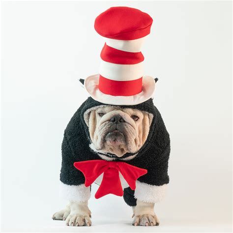 WONTON The Cat In The Hat costume – Wonton Collection