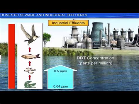 Environmental Issues Video Lecture - Famous Books for UPSC Exam ...