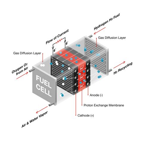 Fuel Cell Structure 的图像结果