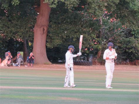 Cricket Tutorial 的图像结果