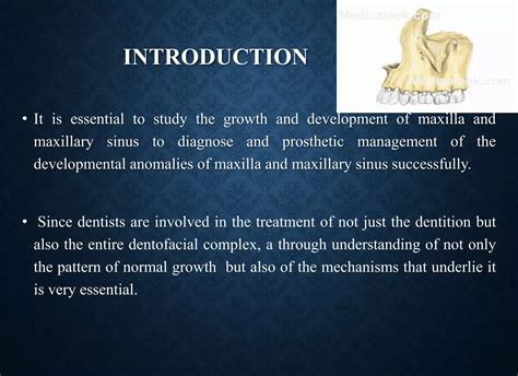 Maxilla | PPTX