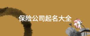人民保险 服务人民_北京品牌设计_品牌全案公司_【三合】实效型品牌全案服务商