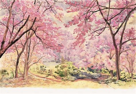 A watercolor painting of pink trees - Magicdecor®