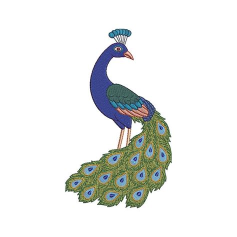 Image result for Simple Peacock Embroidery Patterns