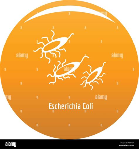 Escherichia Coli Pronunciation