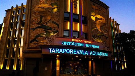 Taraporewala Aquarium Mumbai: The Entire Ocean In A Tank