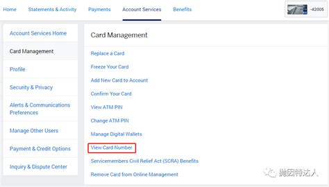 Amex网上账户小技巧 - 如何在还没收到Amex卡的时候看到卡号？ - 抛因特达人 PointsTalent