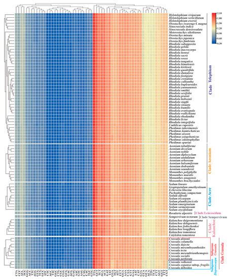 Ten Plastomes of Crassula (Crassulaceae) and Phylogenetic Implications