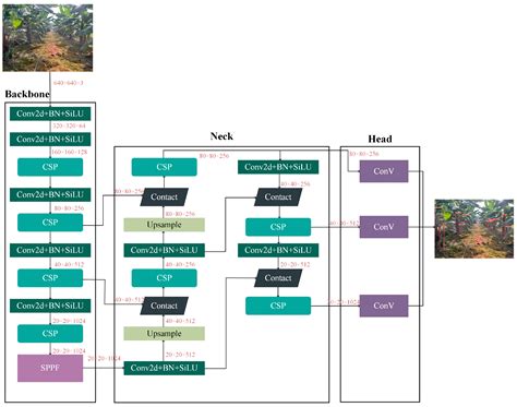 Deep-Learning-Based Trunk Perception with Depth Estimation and DWA for ...