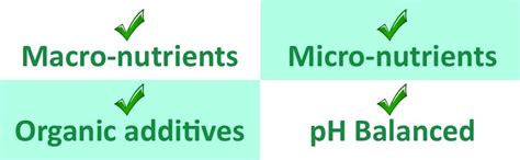 City Greens Advance Hydroponic Nutrients For Different Stages Of Plants ...