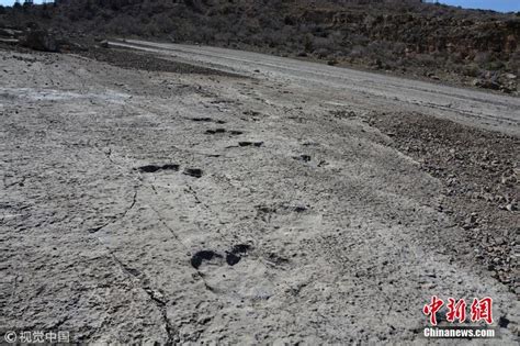 土库曼斯坦现1亿5000万年前恐龙脚印 最长脚印约80厘米 藏地阳光新闻网
